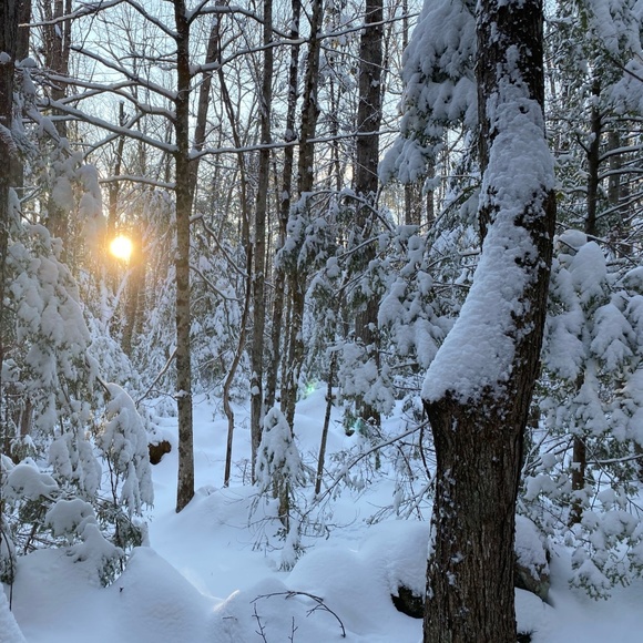 Meet your Posher, Natasha - Picture 1 of 1